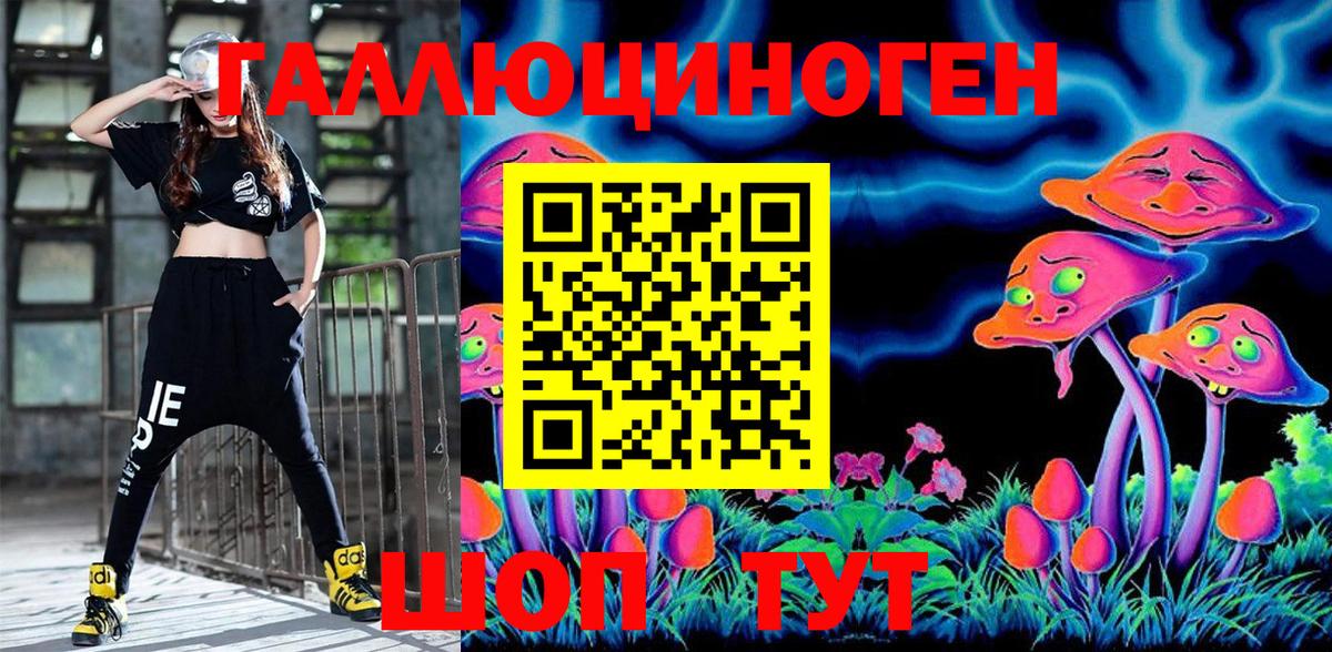 Псилоцибиновые грибы мицелий Егорьевск