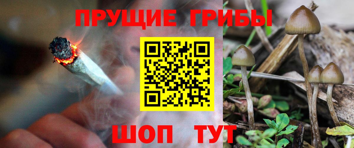 магазин  наркотиков  Вход с VPN  Егорьевск  Псилоцибиновые грибы прущие грибы 