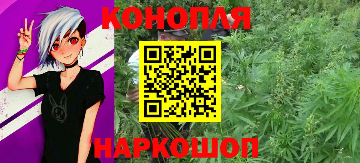 Шишки марихуана THC 21% Егорьевск
